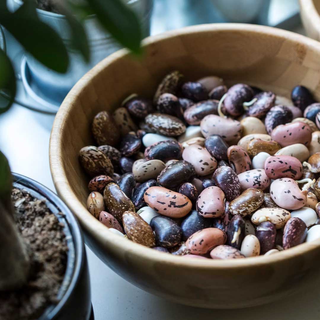 Fagioli borlotti